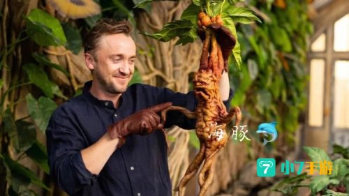 不用管啼哭的曼德拉草和发出