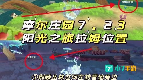 摩尔庄园怎么与拉姆玩耍