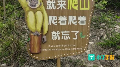 峡谷之巅怎么进