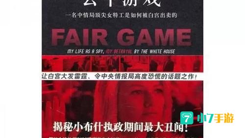 公平游戏