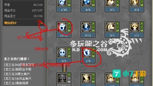 炼金圣士加点