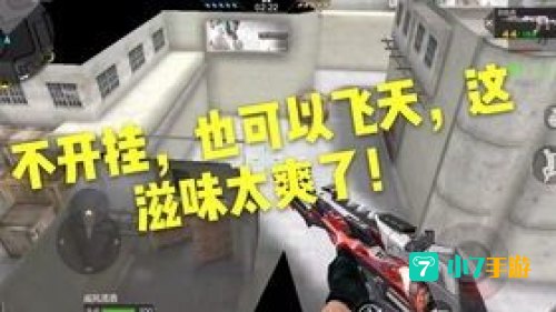 沙漠灰bug