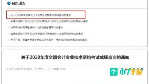 2020年会计初级考试查询